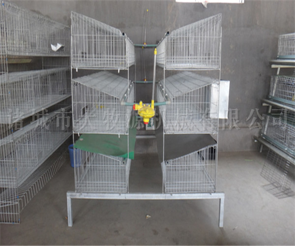兔笼